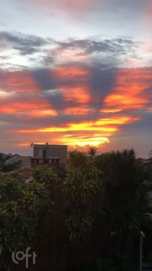 Image 17 - 289687
