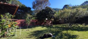 Image 3 - 289720