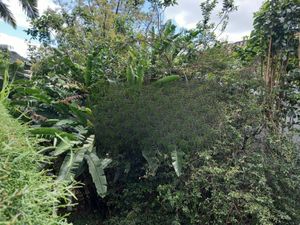 Image 31 - 289950