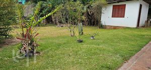Image 9 - 289972