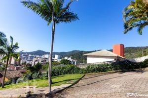 Image 65 - 289996