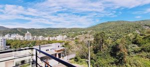Image 6 - 290010