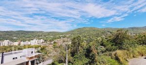 Image 7 - 290010