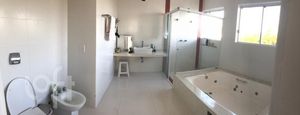 Image 19 - 290429