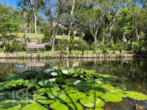 Image 59 - 290431