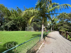 Image 56 - 290431