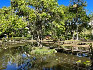Image 55 - 290431