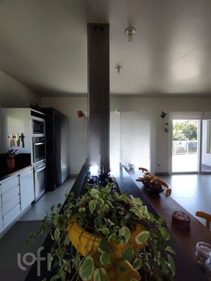 Image 13 - 290467