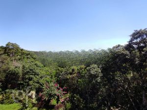 Image 35 - 290467