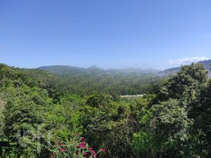 Image 9 - 290467