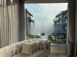 Image 17 - 290491