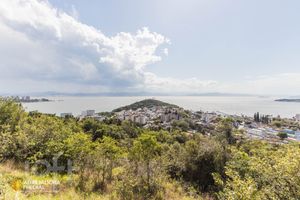 Image 17 - 290509