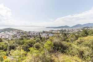 Image 16 - 290509