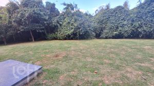 Image 11 - 290751
