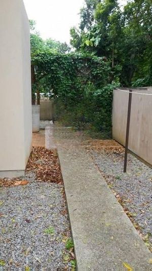 Image 13 - 290812