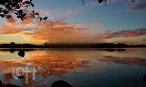 Image 9 - 291126