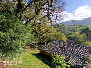 Image 54 - 291221