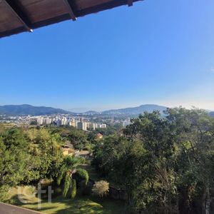 Image 5 - 291318