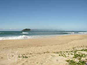 Image 11 - 291365