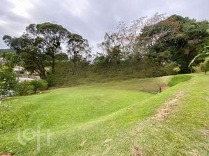 Image 19 - 291391