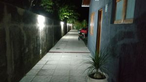 Image 11 - 291436