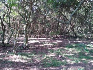 Image 8 - 291657
