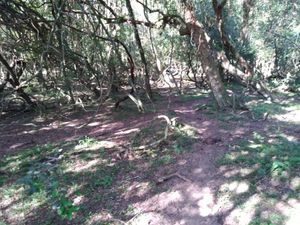 Image 13 - 291657