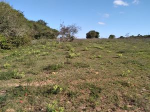 Image 9 - 291657