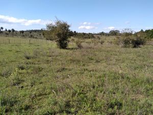 Image 17 - 291657