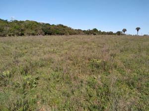 Image 16 - 291657