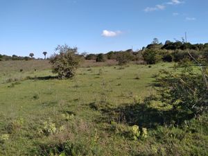 Image 4 - 291657