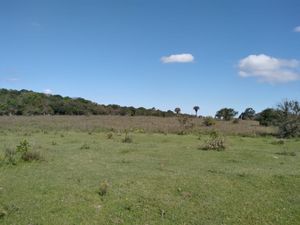 Image 0 - 291657