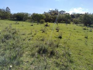 Image 12 - 291657