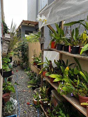Image 19 - 291798