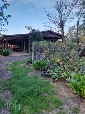 Image 19 - 292419