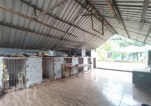 Image 14 - 292933