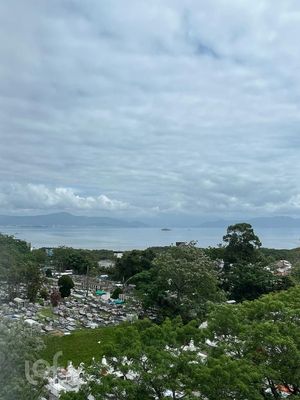 Image 7 - 293019