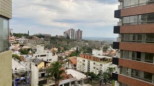 Image 10 - 293474
