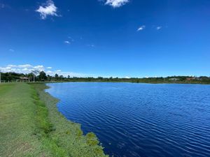 Image 36 - 293479