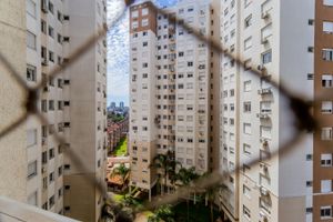 Image 4 - 293514
