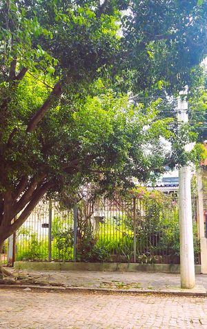 Image 7 - 293562