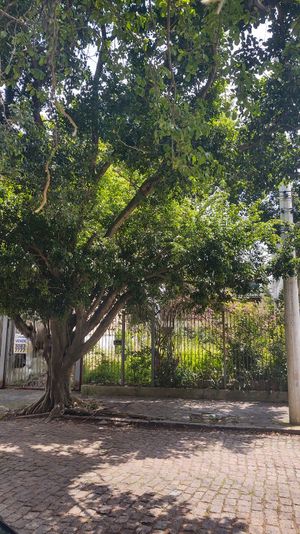 Image 4 - 293562