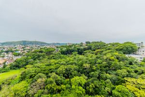 Image 4 - 293598