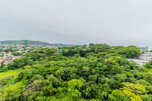 Image 8 - 293598