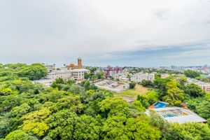 Image 11 - 293598