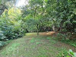 Image 28 - 294157