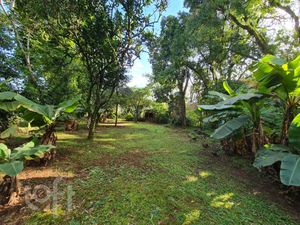 Image 26 - 294157