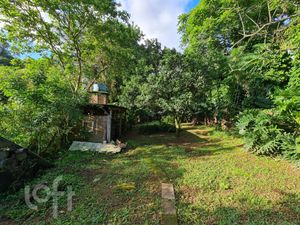 Image 25 - 294157