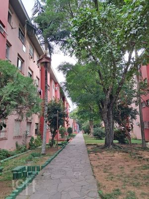 Image 25 - 294217