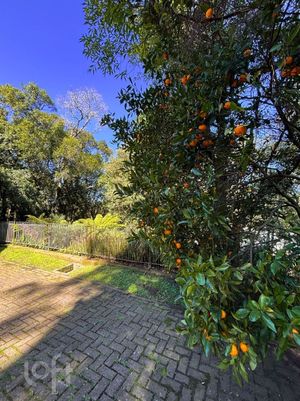 Image 54 - 294346